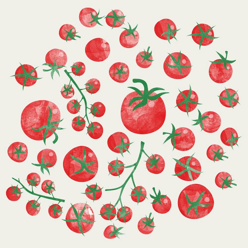 Tomatoes On A Pale Blush PInk Background
