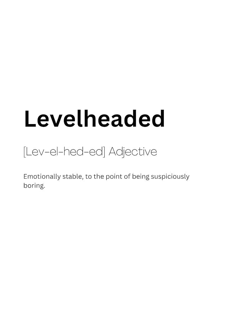 Levelheaded Definition Meaning