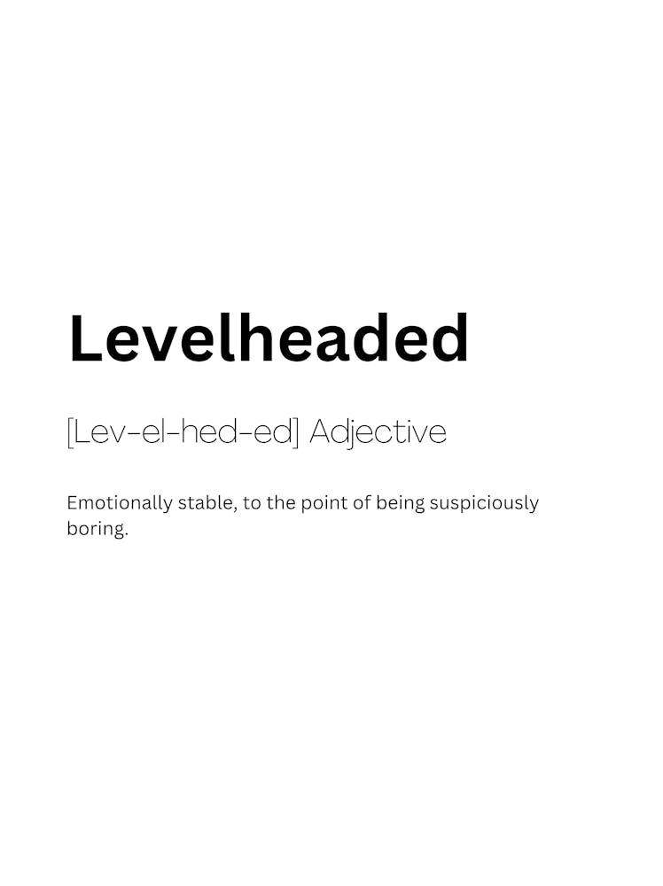 Levelheaded Definition Meaning