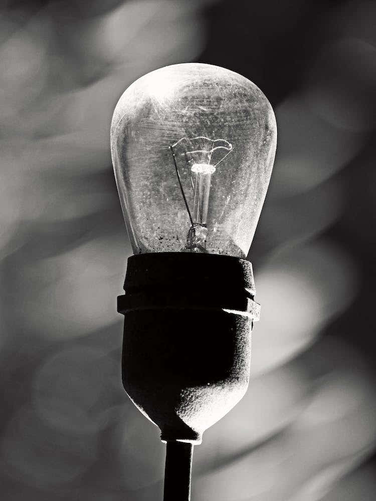 Light Bulb