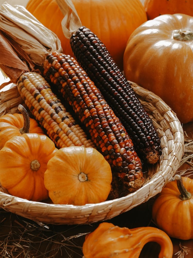 Autumn Farm Decorations