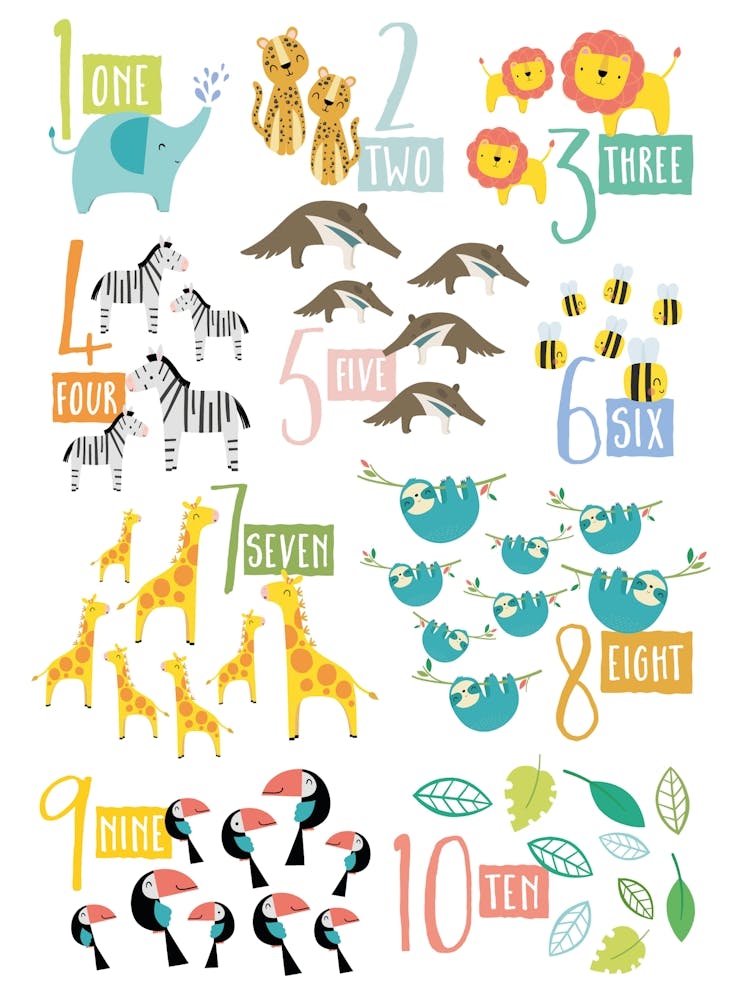 Jungle Counting Lines White