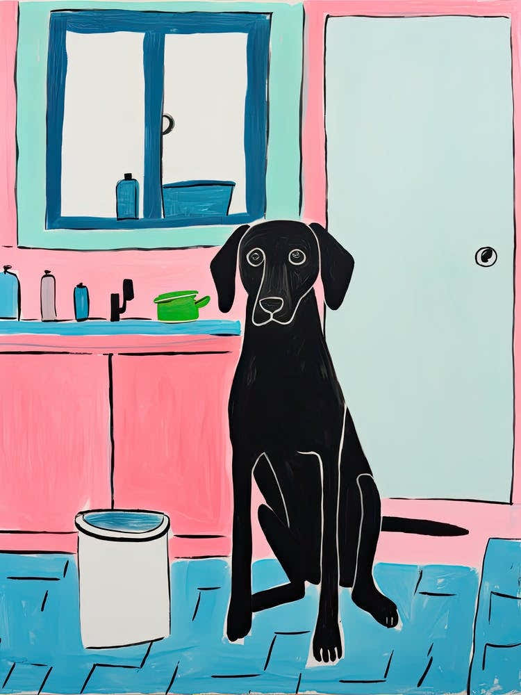 Black Dog, Pink And Blue Room