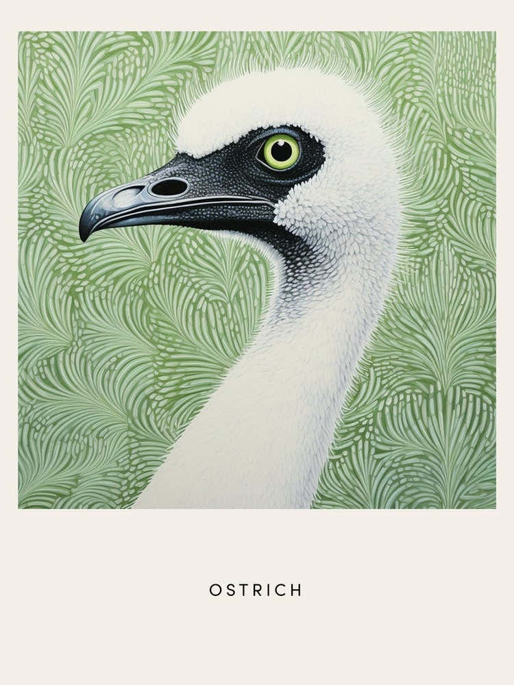Ohara Koson Inspired Bird Painting Ostrich 3 Poster