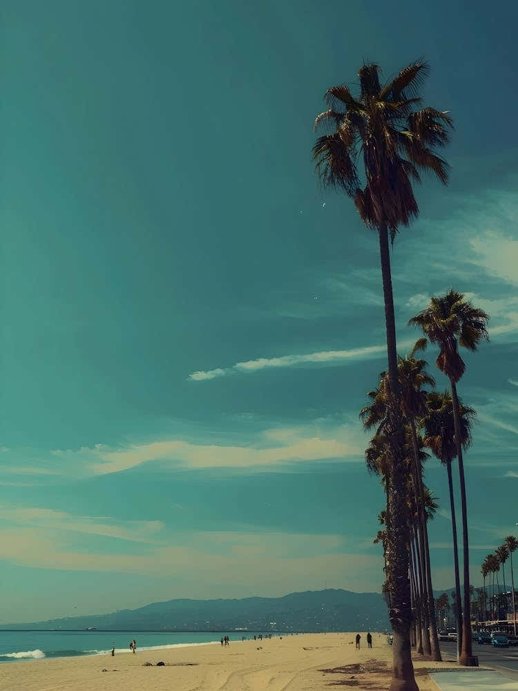 Palm Trees On The Beach 5