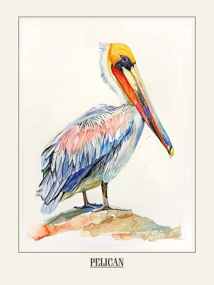 Pelican Colourful Watercolour 4 Poster