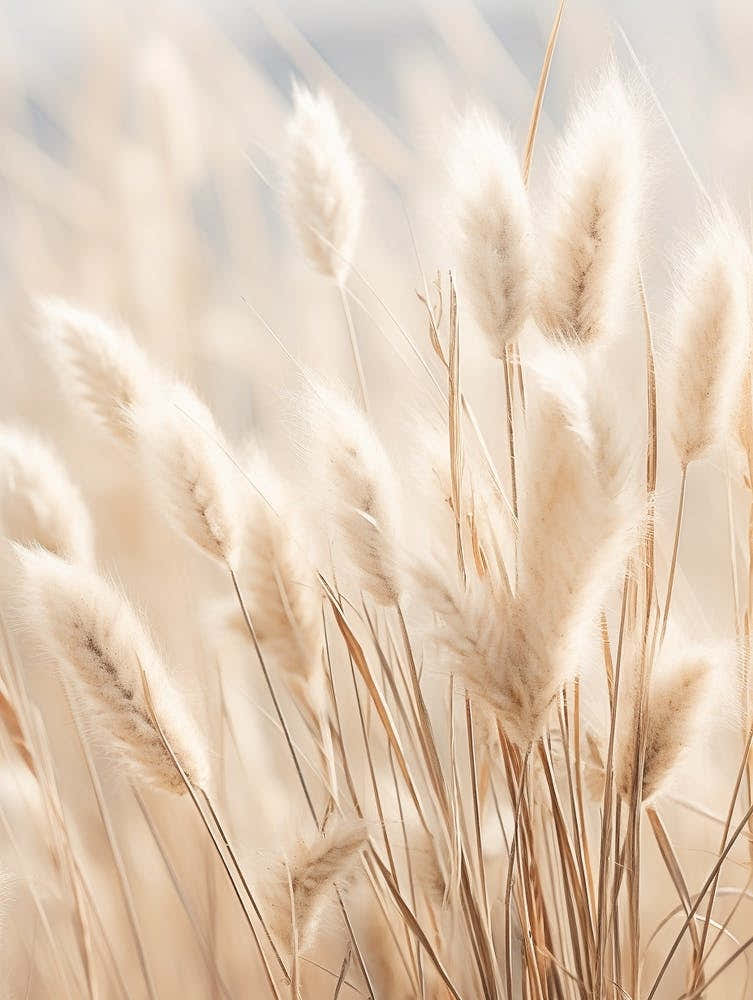 Boho Dried Flowers Veronica 1