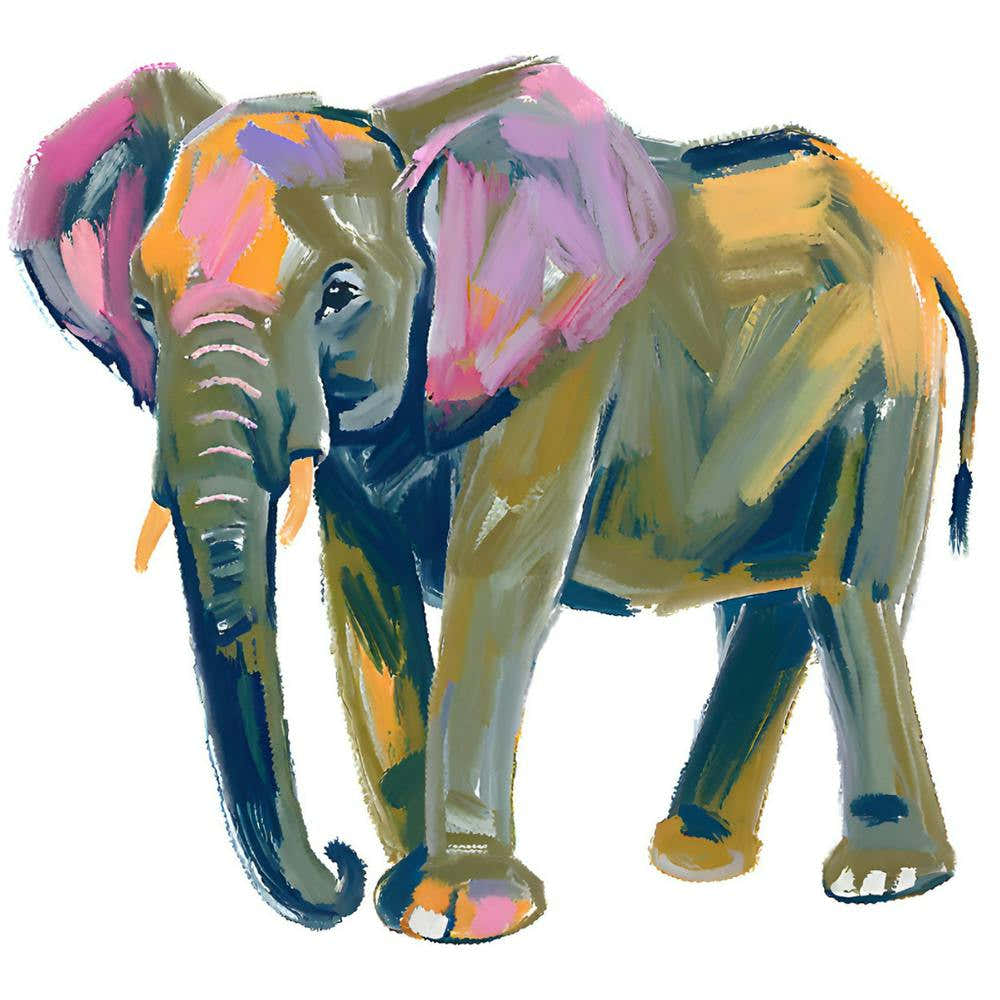 African Elephant 04