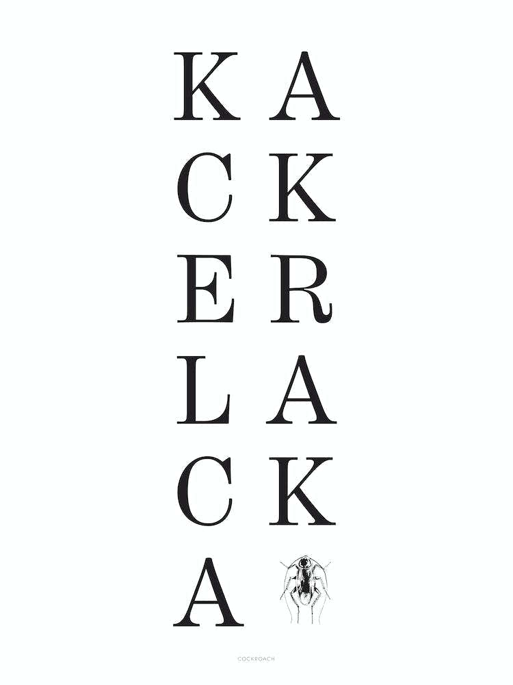 Kackerlacka by emerybloom