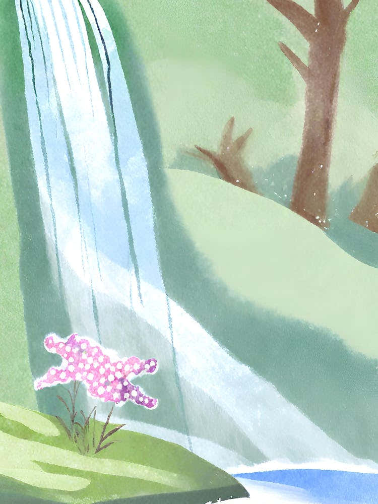 Waterfall In The Forest