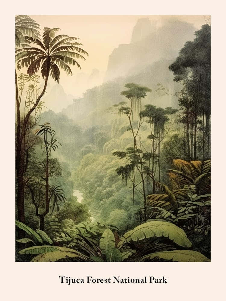 Tijuca Forest National Park