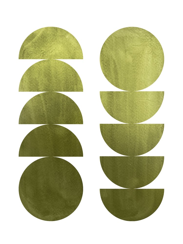 Olive green mid century modern