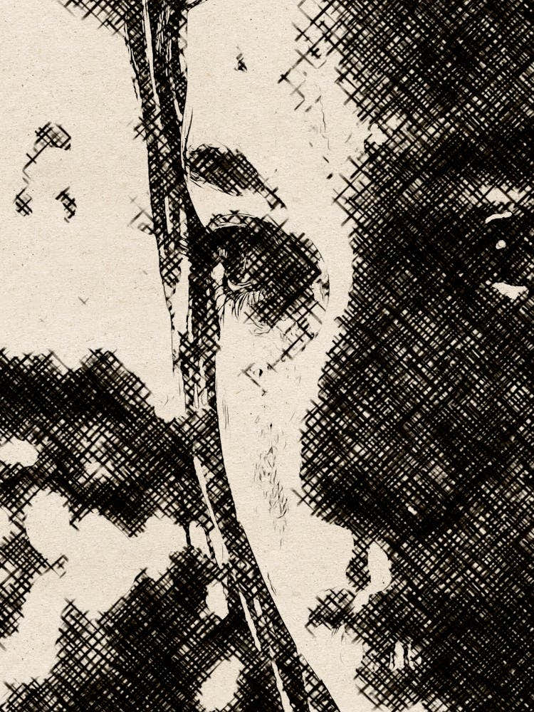 The Last of Us ellie