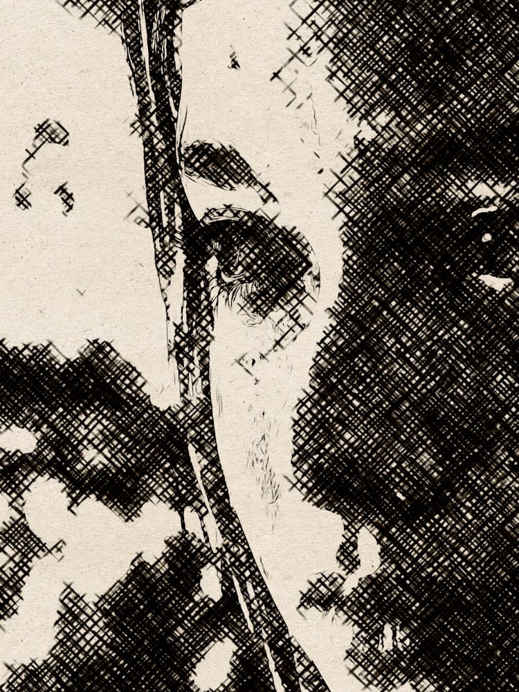 The Last of Us ellie