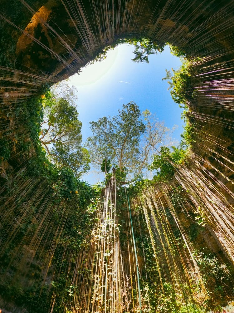 Nature wonder, cenotes of Mexico