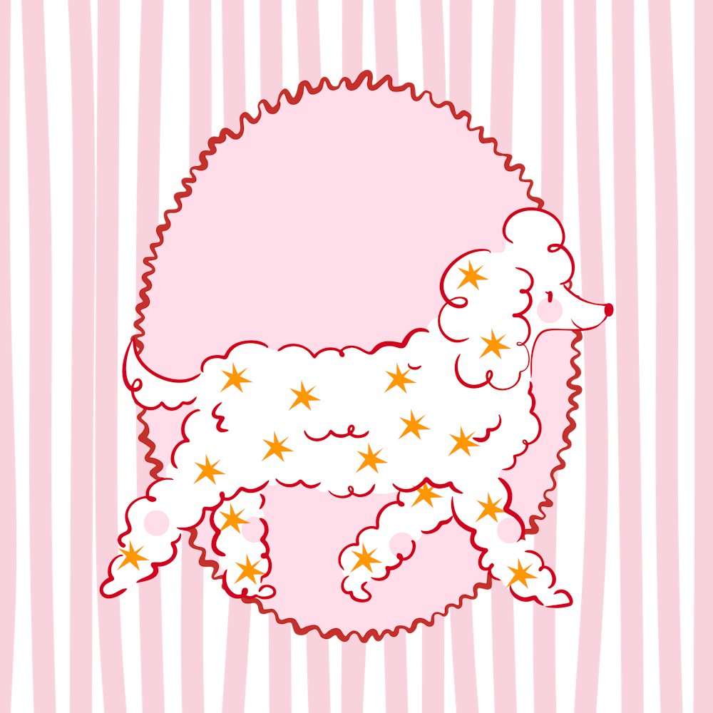 Pink Poodle