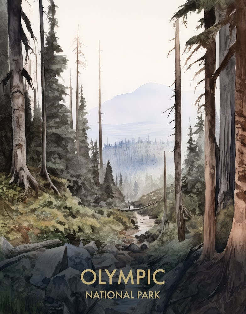 Olympic National Park Watercolour Vintage Travel Poster 1