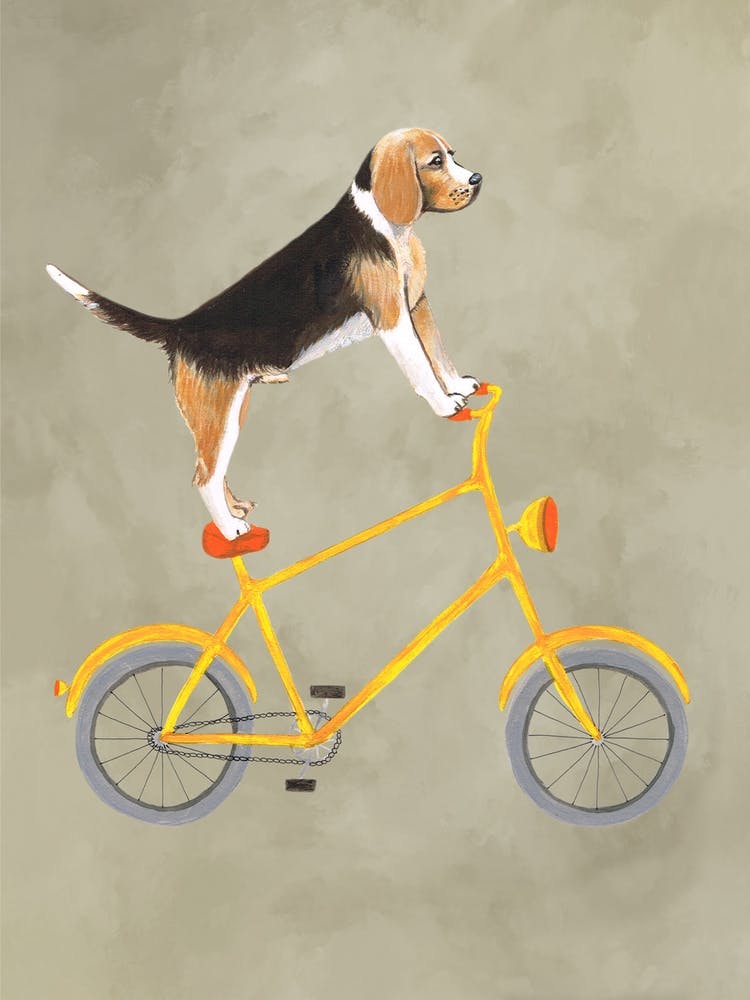 Beagle On Bicycle