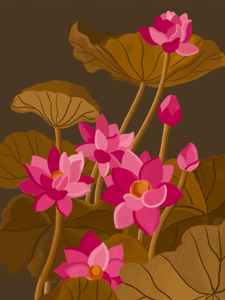 Pink Lotus Flowers