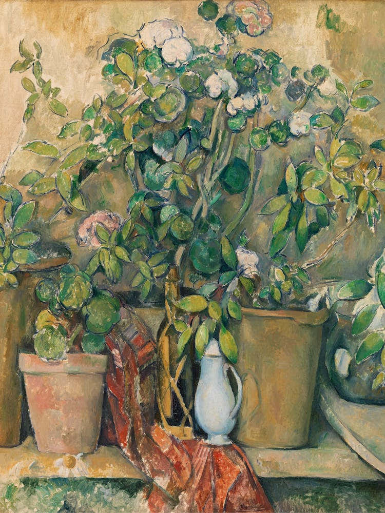 Potted Plants On A Window Sill