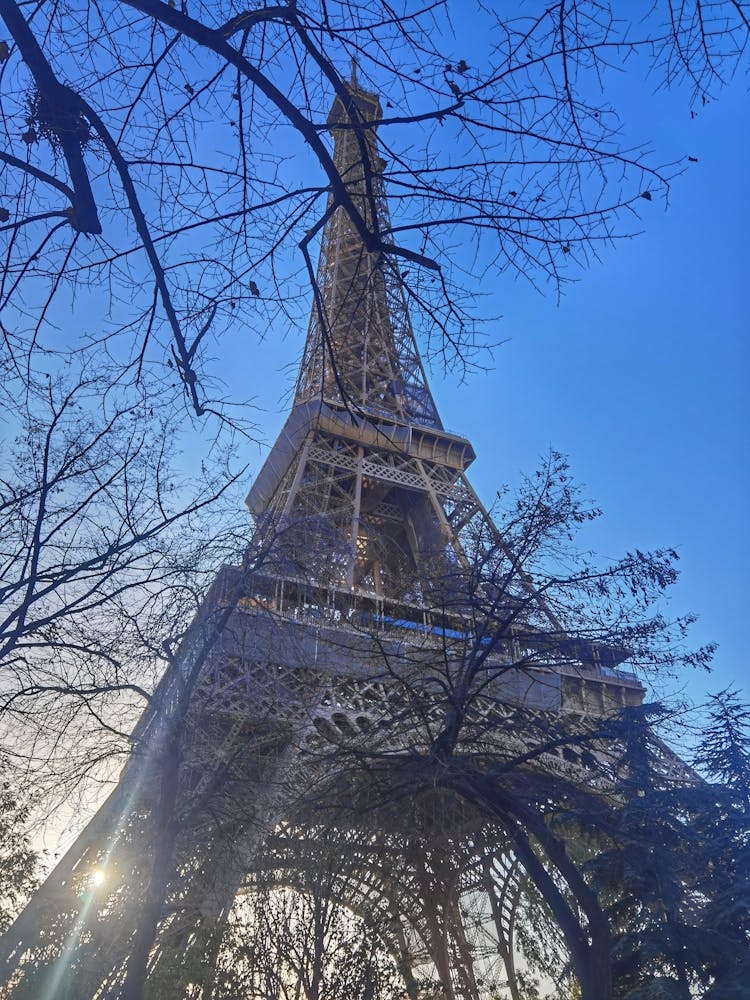 Iron lacework spun into the sky, a symbol of elegance and ingenuity.