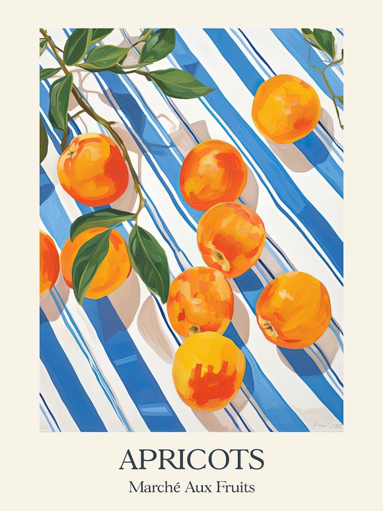 Marche Aux Fruits Apricots Fruit Summer Illustration 8