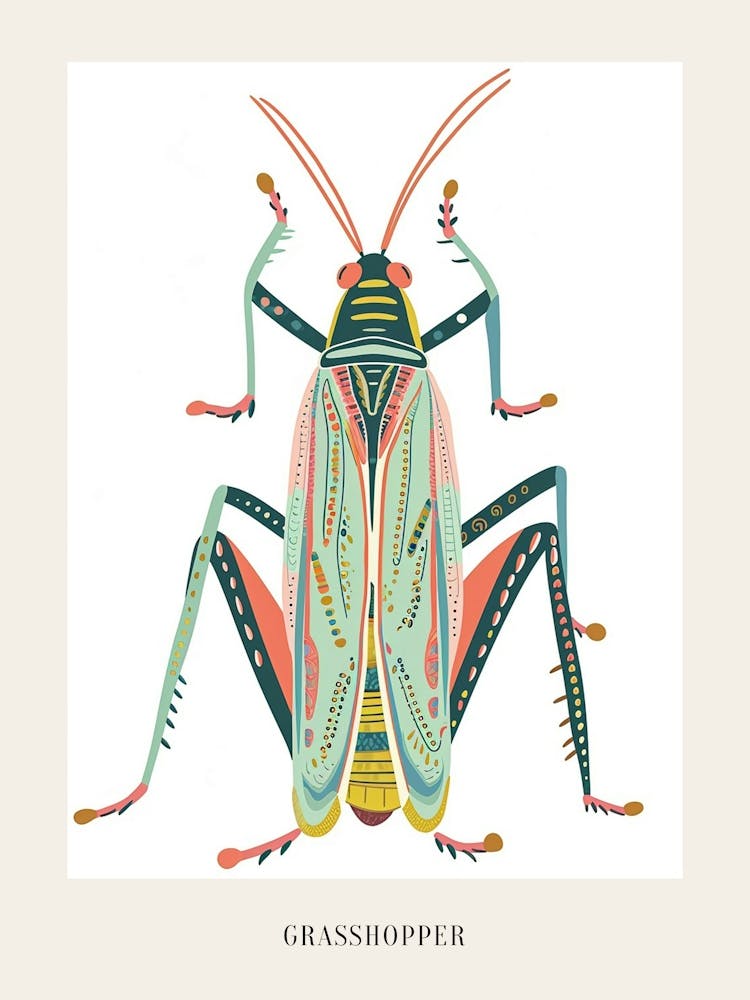 Colourful Insect Illustration Grasshopper 11 Poster