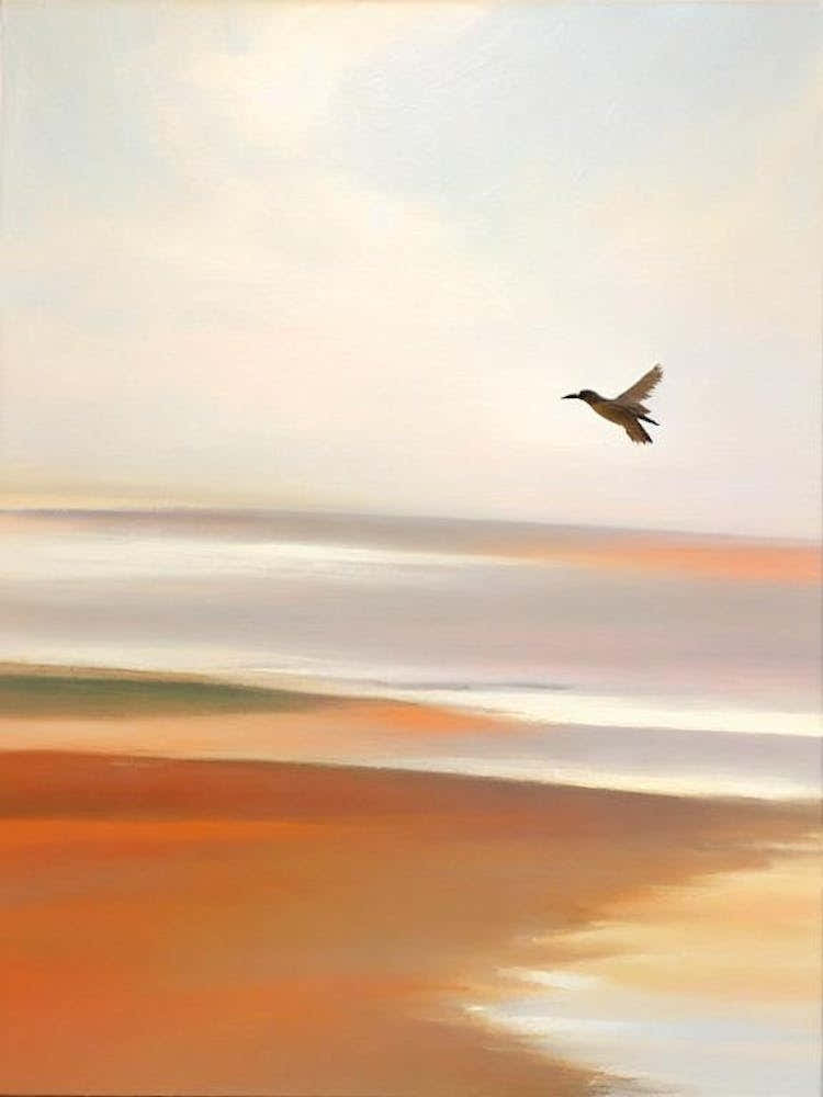 Chesil Beach, Dorset Neutral 1