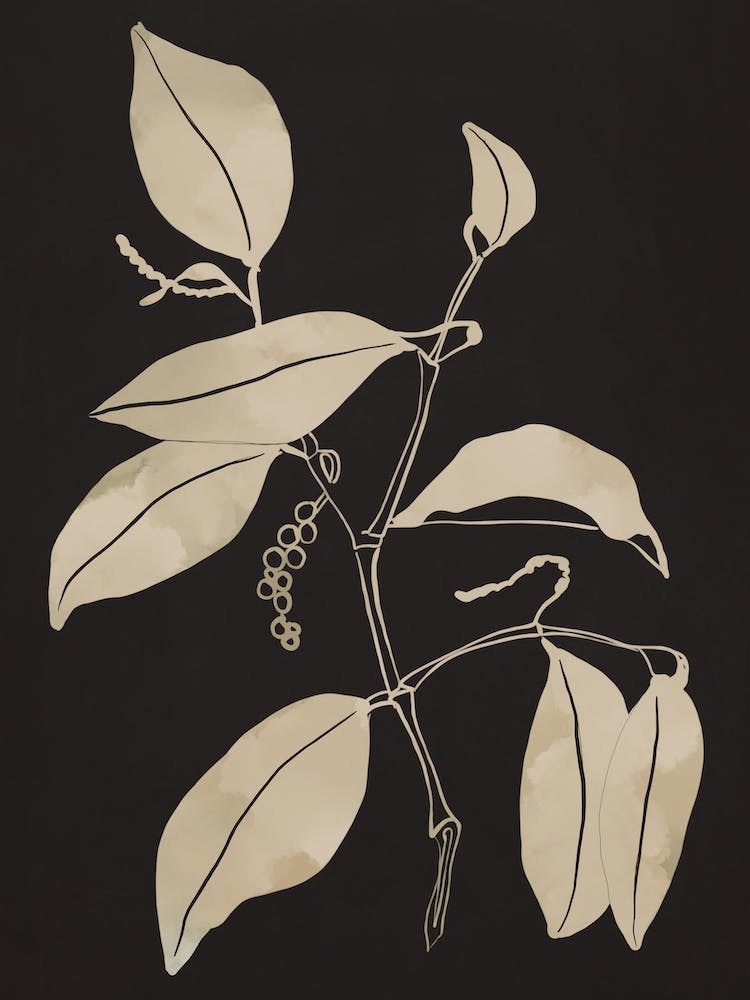 Minimal Abstract Art Plant 50