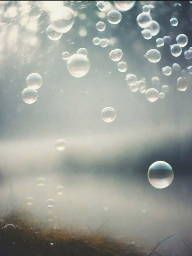Bubbles float