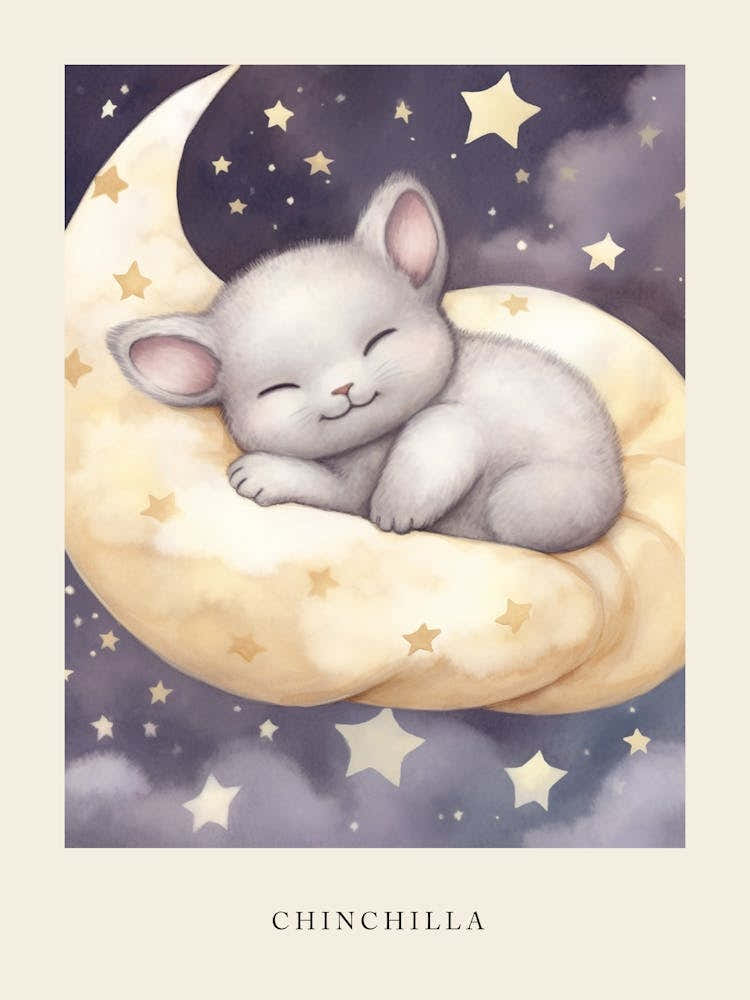 Sleeping Baby Chinchilla Nursery Poster