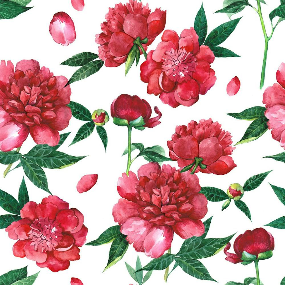 Peonies