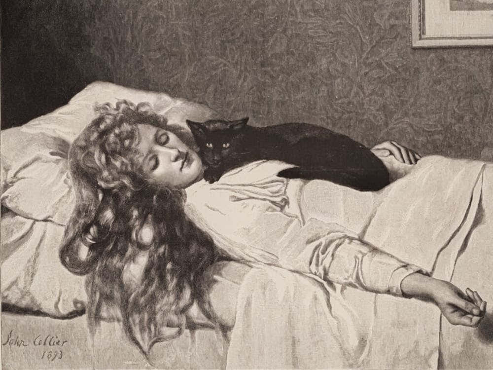 The Witch by John Collier 1893 ~ Witchy Pagan Gothic Feature Wall Art - A HD Remastered Victorian Drawing of a Witch With Black Cat Sleeping