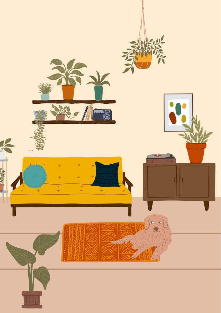 Mid Century Living Room