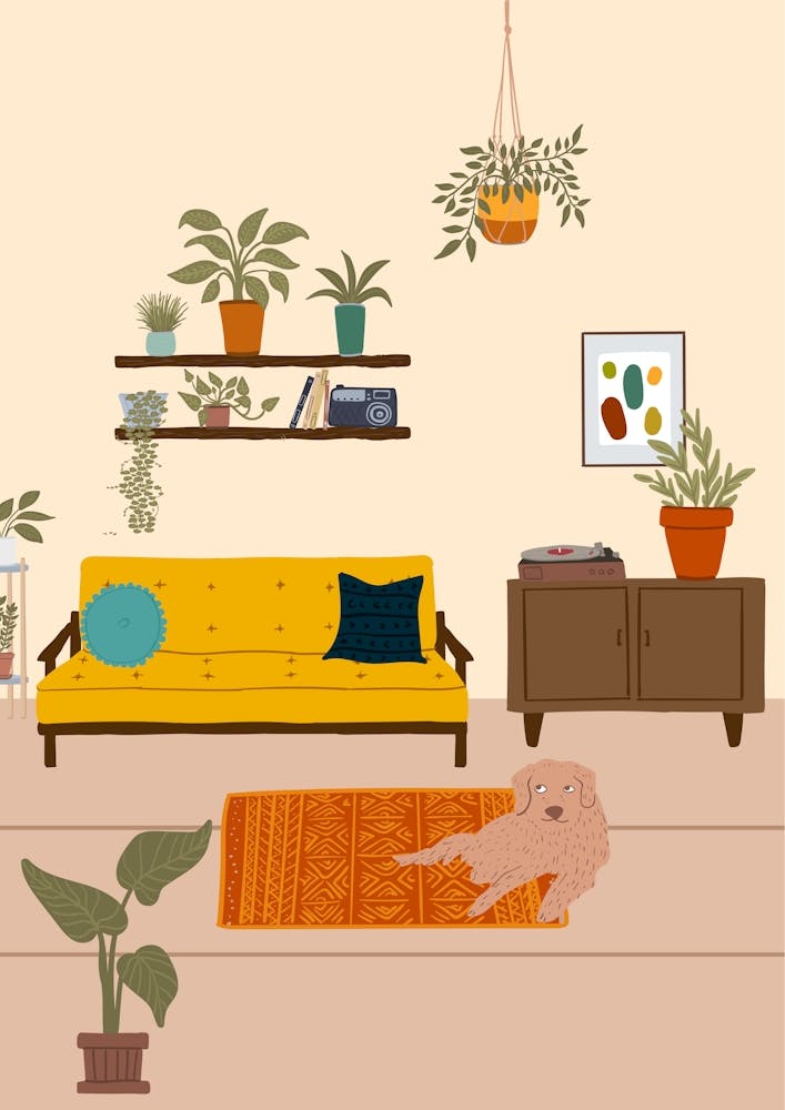 Mid Century Living Room