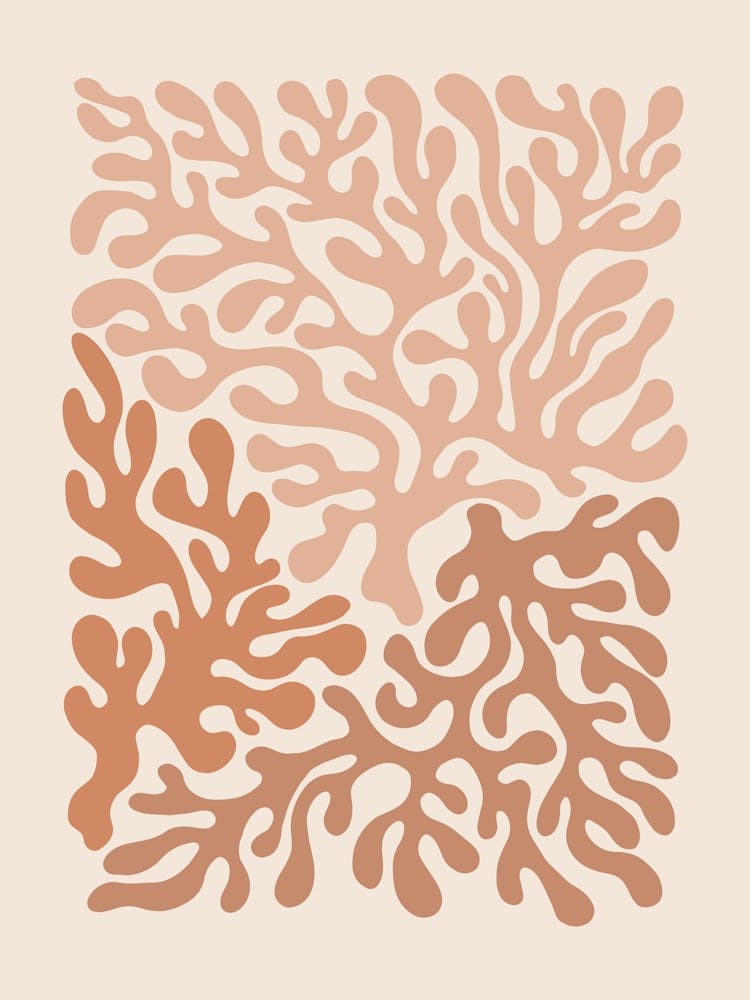 Coral 02 - Peachy
