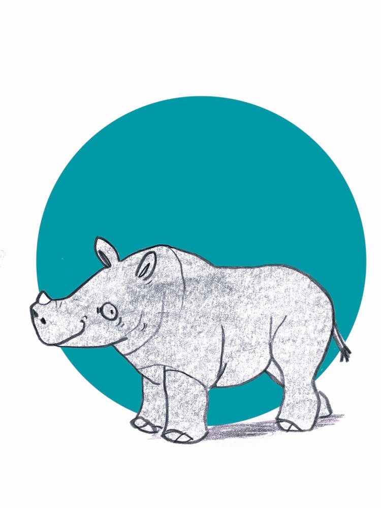 Baby Rhino 1