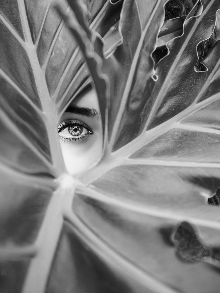 Palm Leaf Photograph - Mysterious Woman Black And White