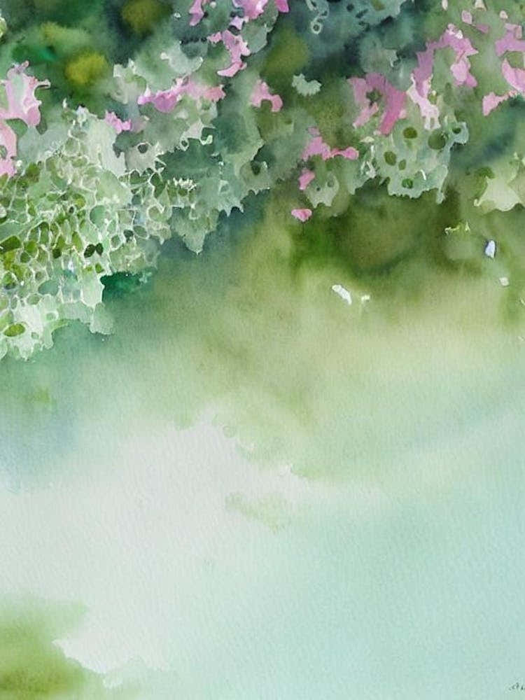 Caulastrea Storybook Watercolour