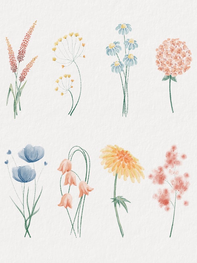 Watercolor Flowers
