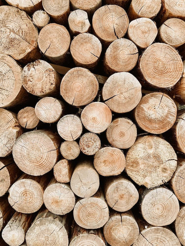 Firewood Logs