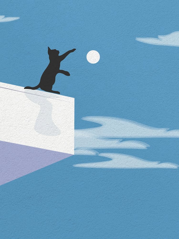 Vintage Minimal Art Cat On Roof