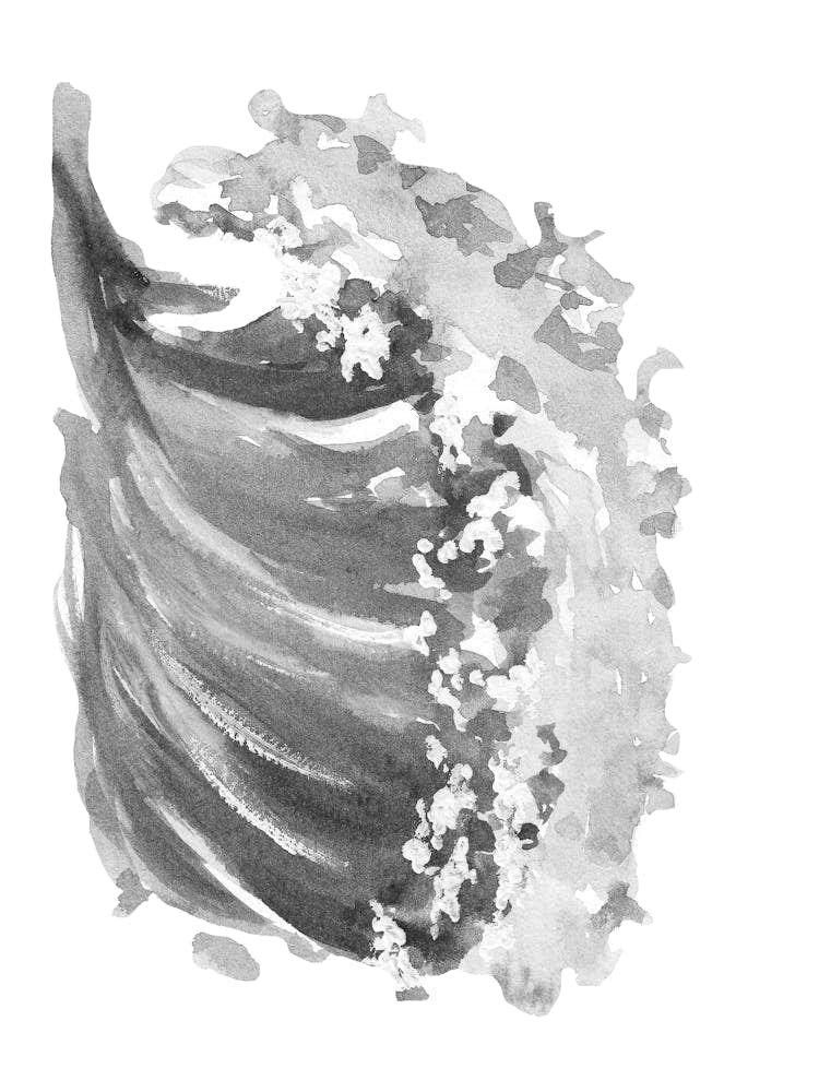 Black And White Watercolor Painting