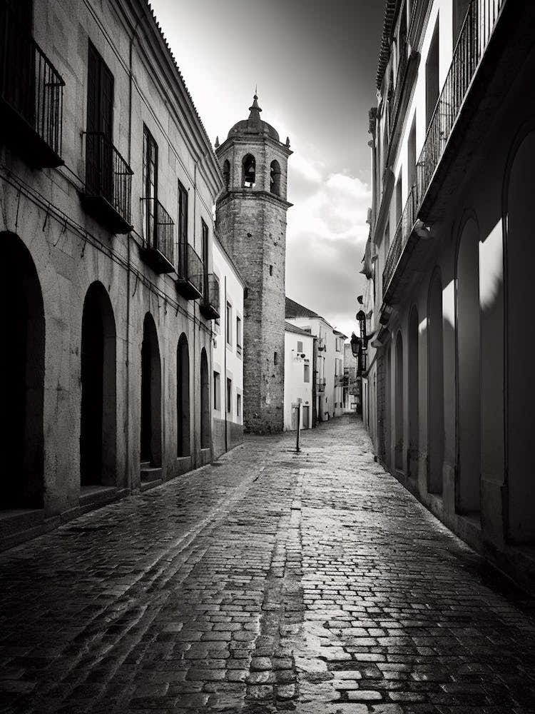Palencia, Spain, Black And White Analogue Photography 2