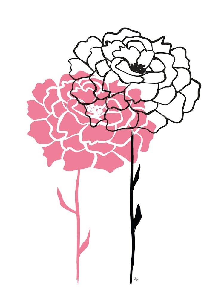 Two Peonies