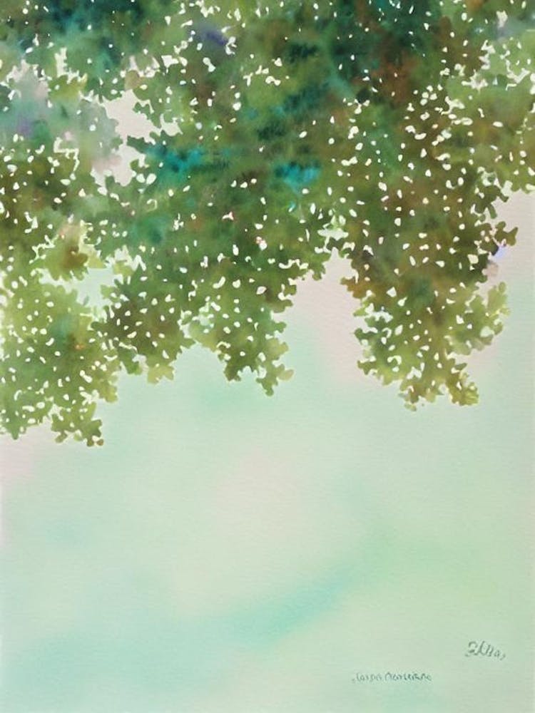 Acropora Vaughani Storybook Watercolour