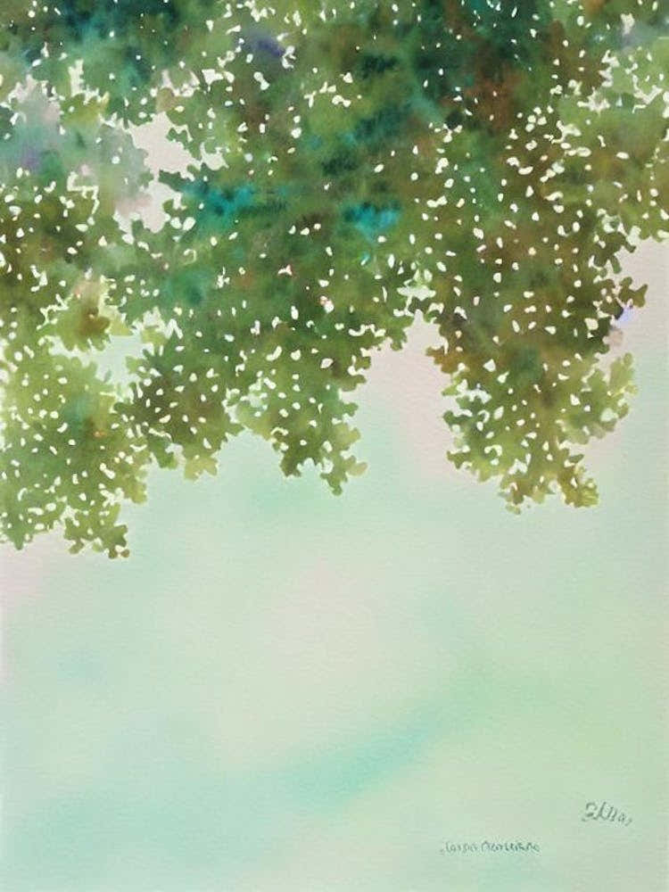 Acropora Vaughani Storybook Watercolour