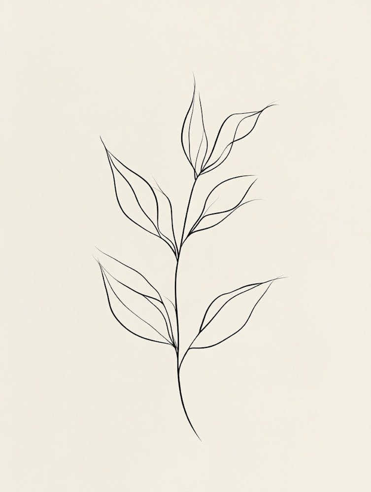 Line Drawing Of A Leaf 2