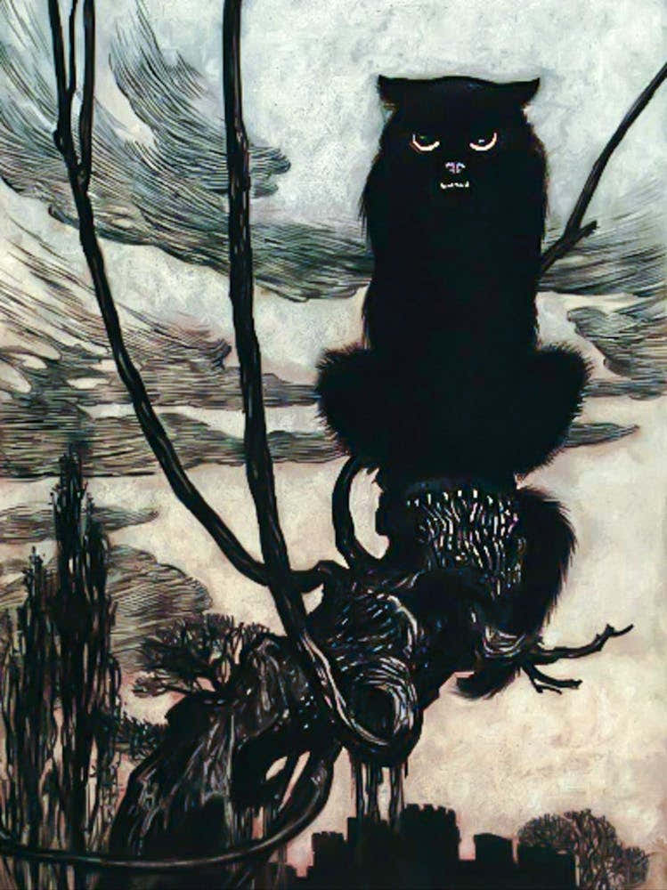 By Night She Transformed Herself into a Cat by Arthur Rackham 1909 Golden Age of Illustration