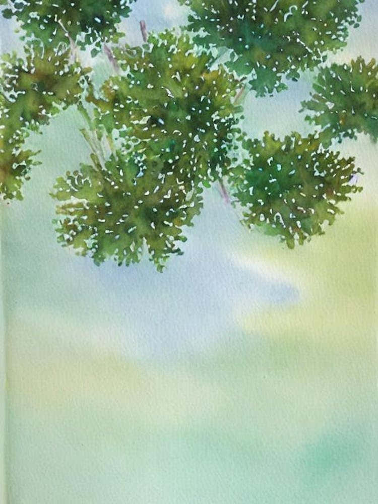 Acropora Cytherea Iiii Storybook Watercolour